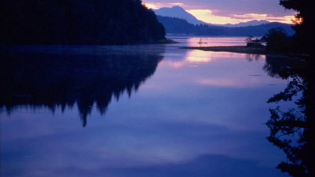 coppelia смотреть онлайн