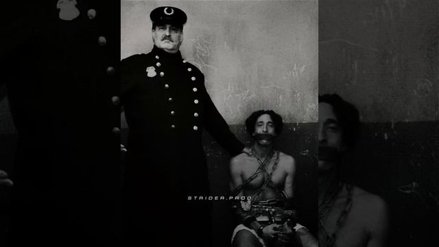 Способен выбраться из любой тюрьмы! #фильм #film #shorts смотреть онлайн