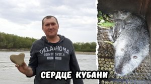 Папин помощник / Потеряшка / Кубань подарила нам своё сердце