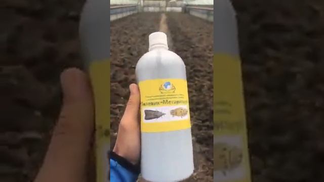 Органо-минеральное удобрение "Полевик" уничтожает вредителей смотреть онлайн