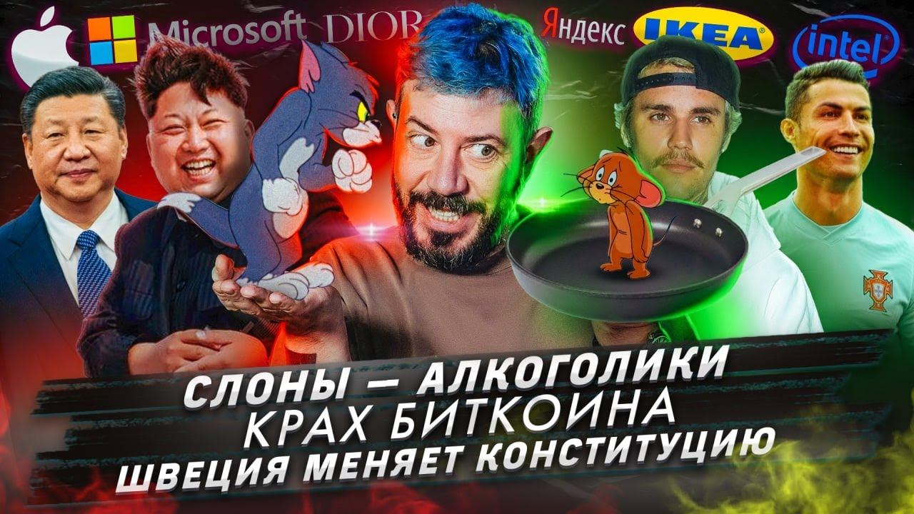 Слоны — алкоголики / Крах биткойна / Швеция меняет конституцию смотреть онлайн