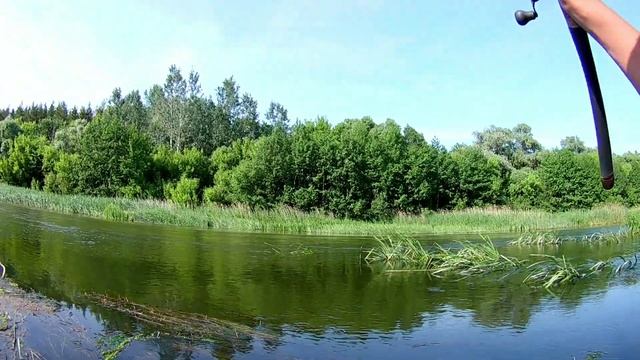 Вот это он тянет. Рыбалка в Середине Июня 2020 на Всплеск смотреть онлайн