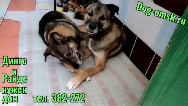 Улыбнитесь, познакомьтесь ! смотреть онлайн