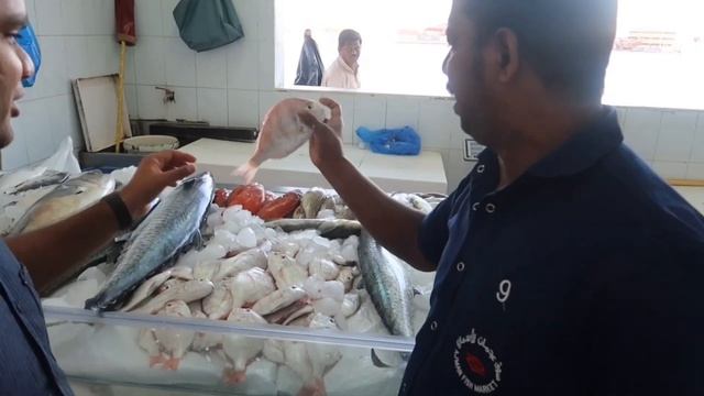 ?AJMAN FISH MARKET ?|VLOG #49| смотреть онлайн
