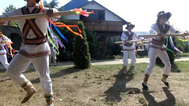 Дом Друзей танец "Кэлушарий" смотреть онлайн