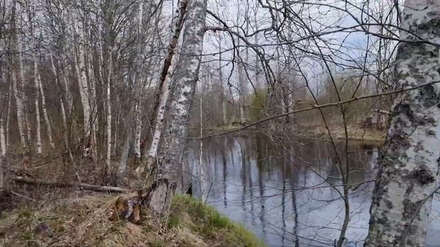 Токарево река Гороховка 755 смотреть онлайн