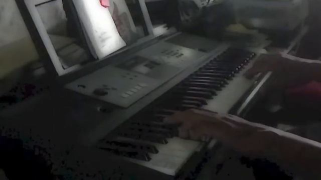 Teratai walkabout with Yamaha PSRE233 смотреть онлайн