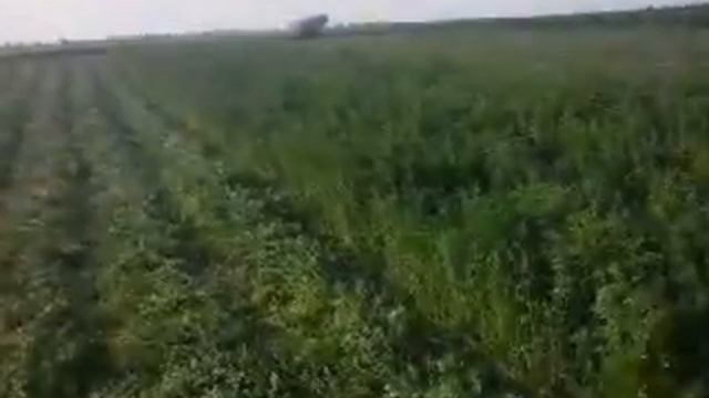 Мотоблок Роторна коса смотреть онлайн