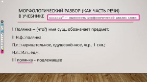Все виды разборов. Учебник 5 класса Ладыженской и Тростенцовой (новый и старый), стр. 3