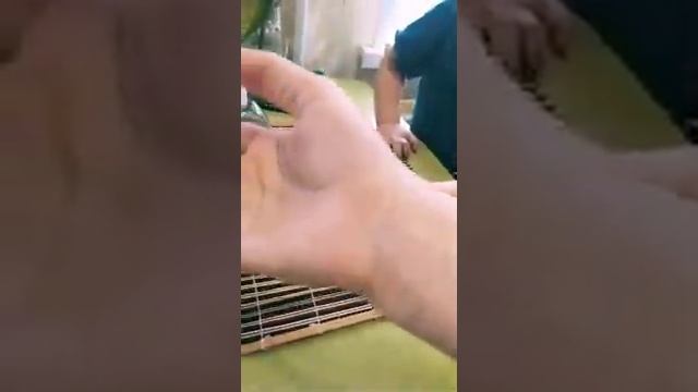 Массажное масло для тела. смотреть онлайн