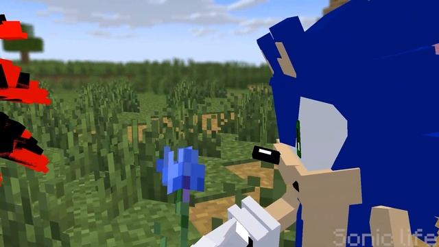 ✨Chibi Sonic EXE and Tails Amy Knuckles | FNF Sonic Minecraft Animation Toca toca toca dance✨ смотреть онлайн