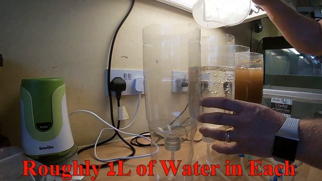 HOW TO - DIY Brine Shrimp Hatchery - Fry Feeding смотреть онлайн