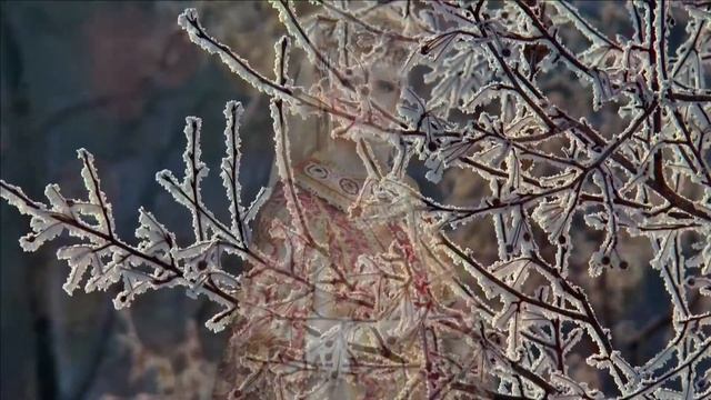 "Опять метель". Елена Бажанова. смотреть онлайн