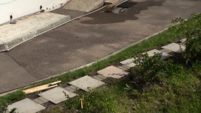 Дивеево. Начало. смотреть онлайн