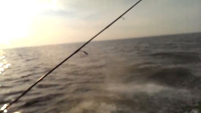 Finval 475 Evo и Yamaha F60 смотреть онлайн