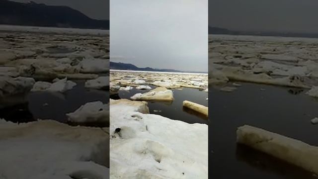 Магадан .рыбалка 13мая2023год.бухта Гертнера.Спаслись все.Сам процесс смотрите выше. смотреть онлайн
