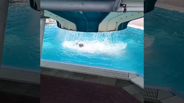 Аквапарк: "Морская Звезда" 🌟 Горка: "Космический Шар" (синяя-белая) смотреть онлайн