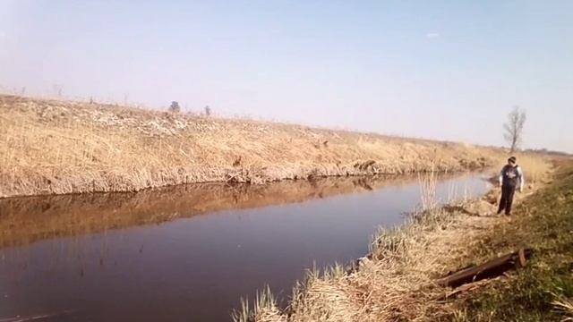 Весняна рибалка на острогу. смотреть онлайн
