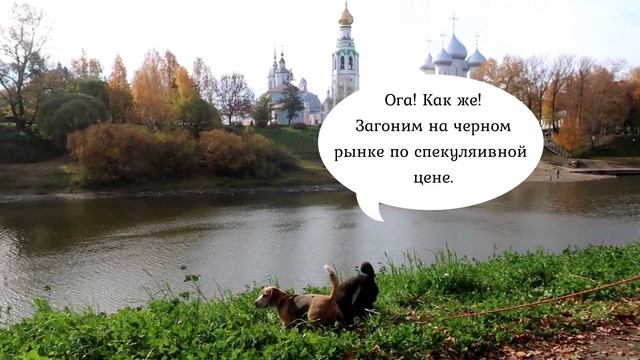 В поисках библиотеки Ивана Грозного смотреть онлайн