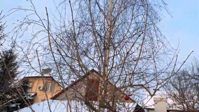 Пруд замерз! Аэрация пруда зимой в -15°. Как работает Компрессор и Распылитель? Зимовка пруда смотреть онлайн