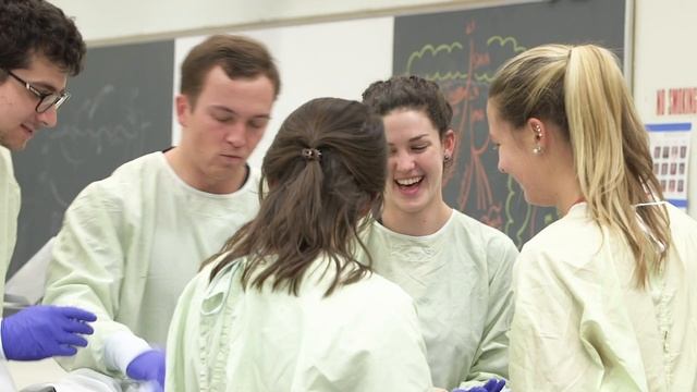 Mollie's first year at Rush College of Medicine смотреть онлайн