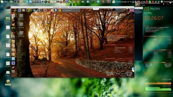 5-й пример Установка Linux Mint и Linux Lite на жёсткий диск