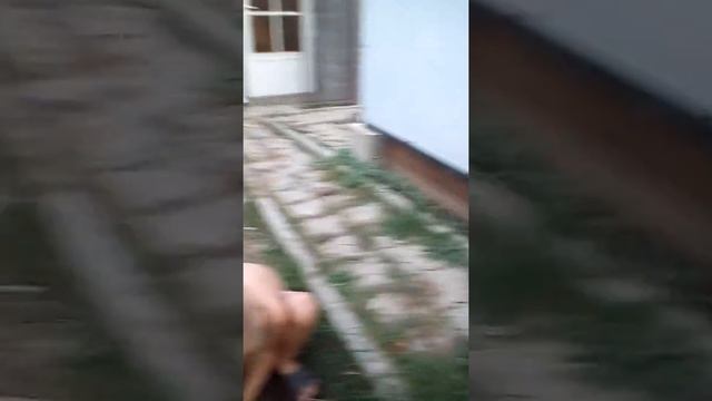 Поля копается в земле в поисках клада... смотреть онлайн