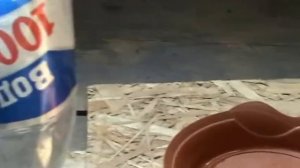 Поилка для цыплят своими руками быстро