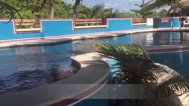 Bike Tour of Akumal, Mexico, by The King's Guide смотреть онлайн