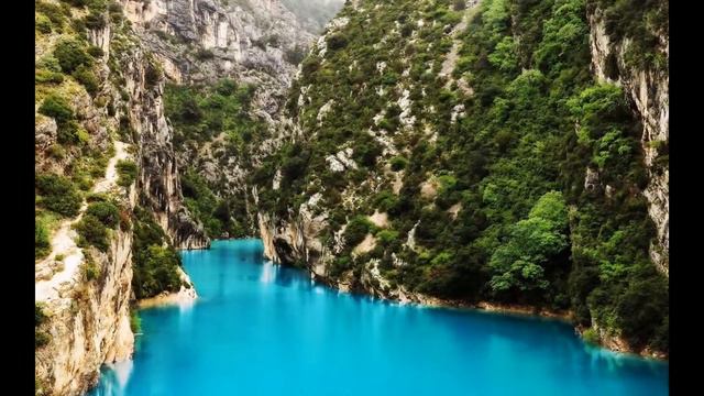 Учёные выяснили в чём смысл жизни смотреть онлайн