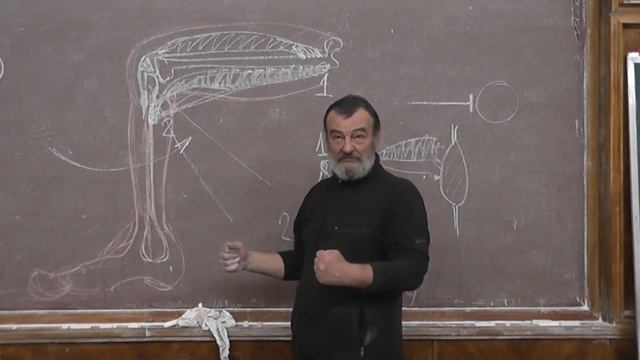 7 Коленный рефлекс. Вегетатика смотреть онлайн