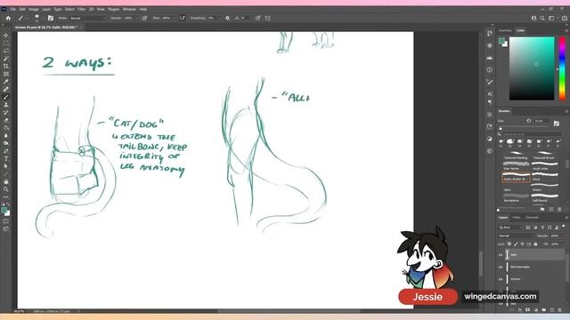 Don't Draw ANIMAL TAILS Like This! смотреть онлайн