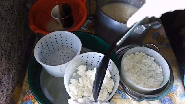 сыр Халуми с мятой и прованскими травами смотреть онлайн