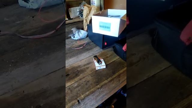 99-up GM LS bench flash harness смотреть онлайн