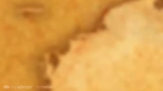 The Cloisters - New York City, New York, United States смотреть онлайн