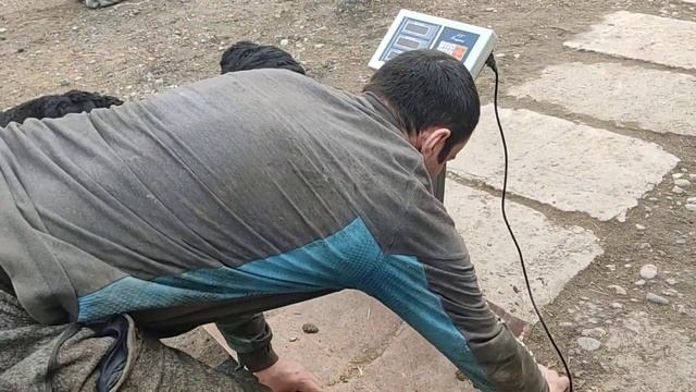 (727) ставим ягнят на весы. смотреть онлайн