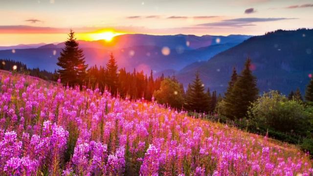 Истории из жизни. У тебя есть две недели до конца месяца. Ищи себе работу... Жизненные истории. смотреть онлайн