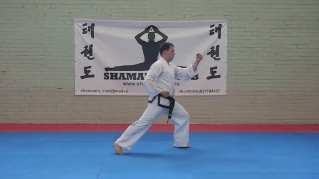 3. 7-й Гуп. До-Сан Туль / Do-San Tul (Pattern) - Taekwon-Do ITF. Shamanin Club (Russia). смотреть онлайн