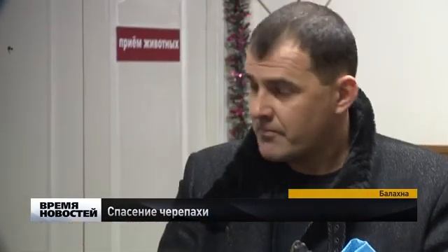 Красноухую черепаху спасли сотрудники мусоросортировочного комплекса в Нижегородской области смотреть онлайн