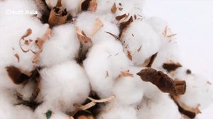 Какое постельное белье лучше: хлопок или сатин? Рассмотрим преимущества и недостатки каждой материи