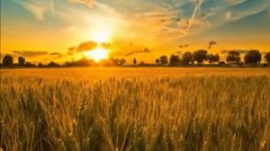 Полонез Огинского  Прощание с Родиной