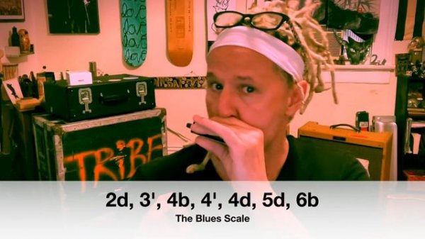 What Do Scales Do? Emotions? Expression? Culture? (Harmonica)