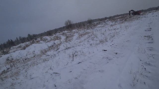 Охота на Зайца. Тропим Зайчишек, читаем следы. Добыли трех Зайчат 22.10.2020.The hunting of the har смотреть онлайн