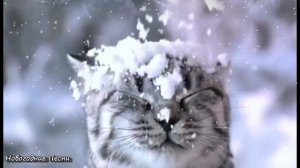 Ой летят снежинки - Новогодние песни для детей