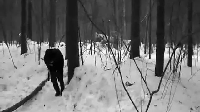 Жанна Бичевская Романс "Не надо грустить господа офицеры" Видеоклип смотреть онлайн