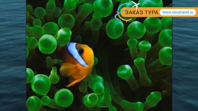 FORTUNA 3* HRG 3* Египет Хургада обзор – отель ФОРТУНА 3* ХРГ 3* Хургада видео обзор