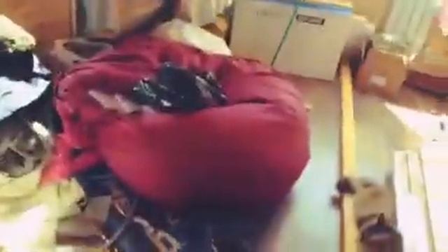 DACHA TOURAURIKA MAIАУРИКА МЭЙАУРИКА КИРПААУРИКА ВИДЕО
