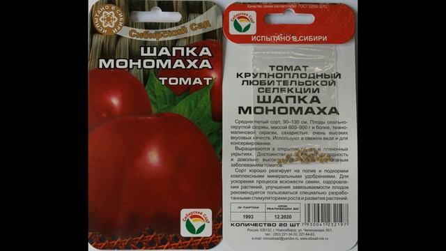 Как сорт помидоров «Шапка Мономаха» меняет правила урожая