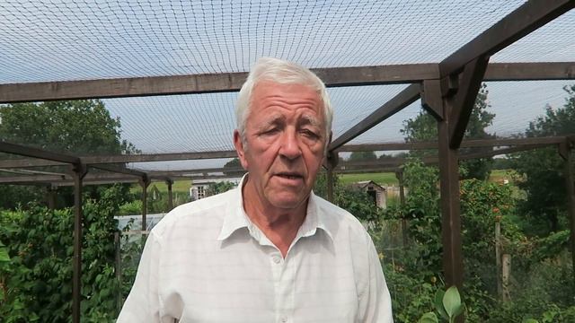 Setting Carrot Seed  And A Summer Harvest