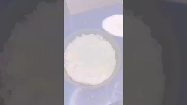 Веганская Кухня